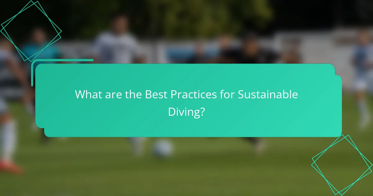 What are the Best Practices for Sustainable Diving?